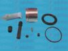 AUTOFREN SEINSA D41770C Repair Kit, brake caliper